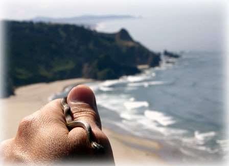 Snake at Cascade Head