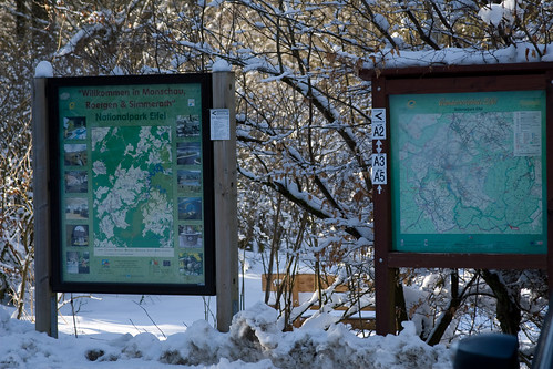 National Park in Germany near Heartbreak Crossroads.jpg