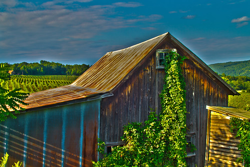 20100806-Keuka Lake-219-Edit